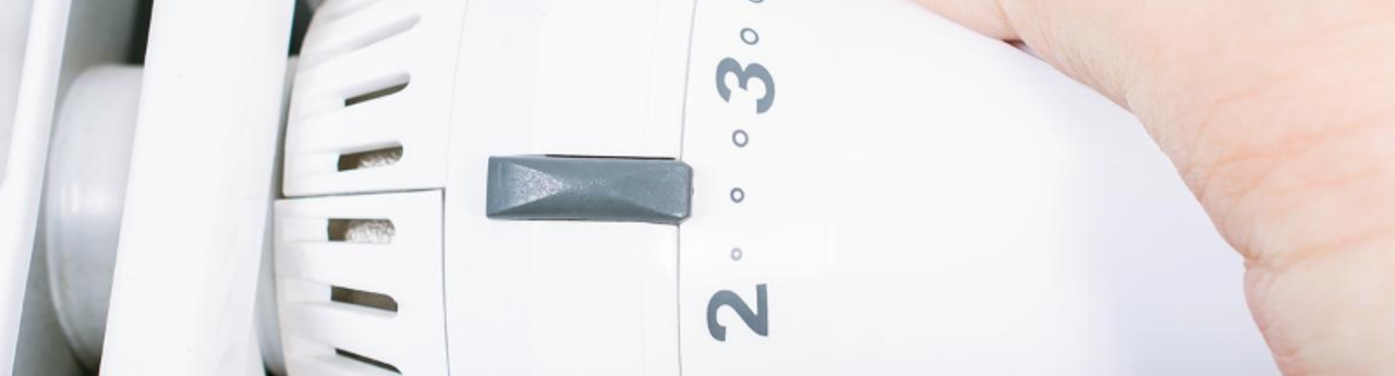 untitled-design-8_51015139658_o